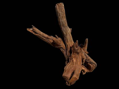 Drift Wood - 50*24*25 - cod.114 WHIMAR