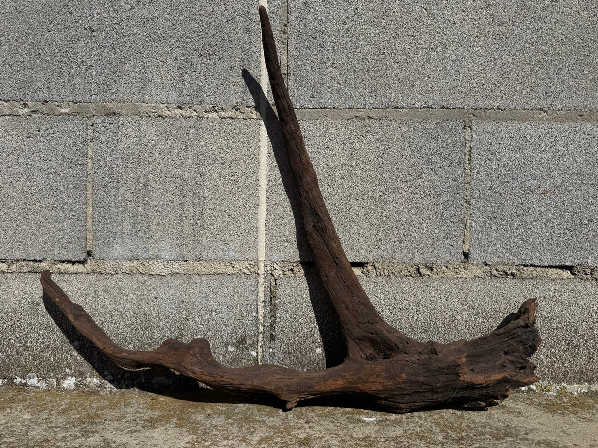 Drift Wood - 63*9*48 - cod.115 WHIMAR