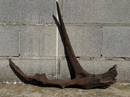 Drift Wood - 63*9*48 - cod.115 WHIMAR