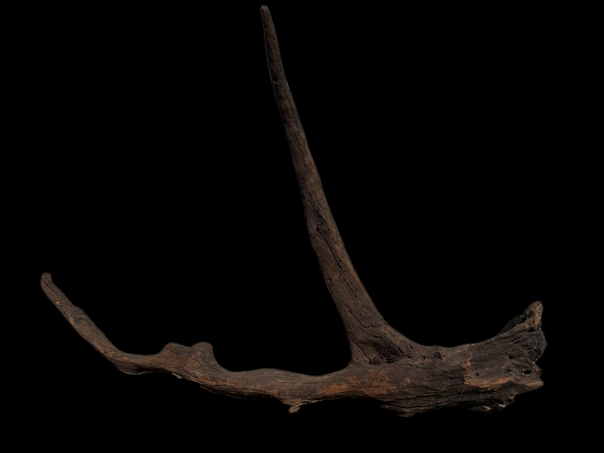 Drift Wood - 63*9*48 - cod.115 WHIMAR