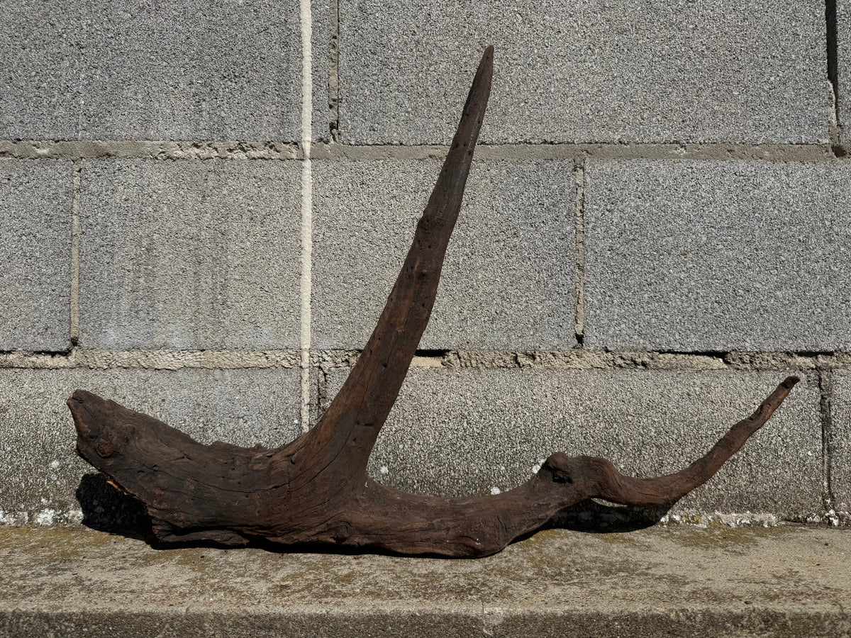 Drift Wood - 63*9*48 - cod.115 WHIMAR