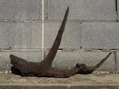 Drift Wood - 63*9*48 - cod.115 WHIMAR
