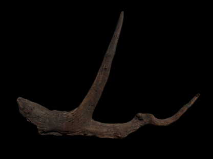 Drift Wood - 63*9*48 - cod.115 WHIMAR