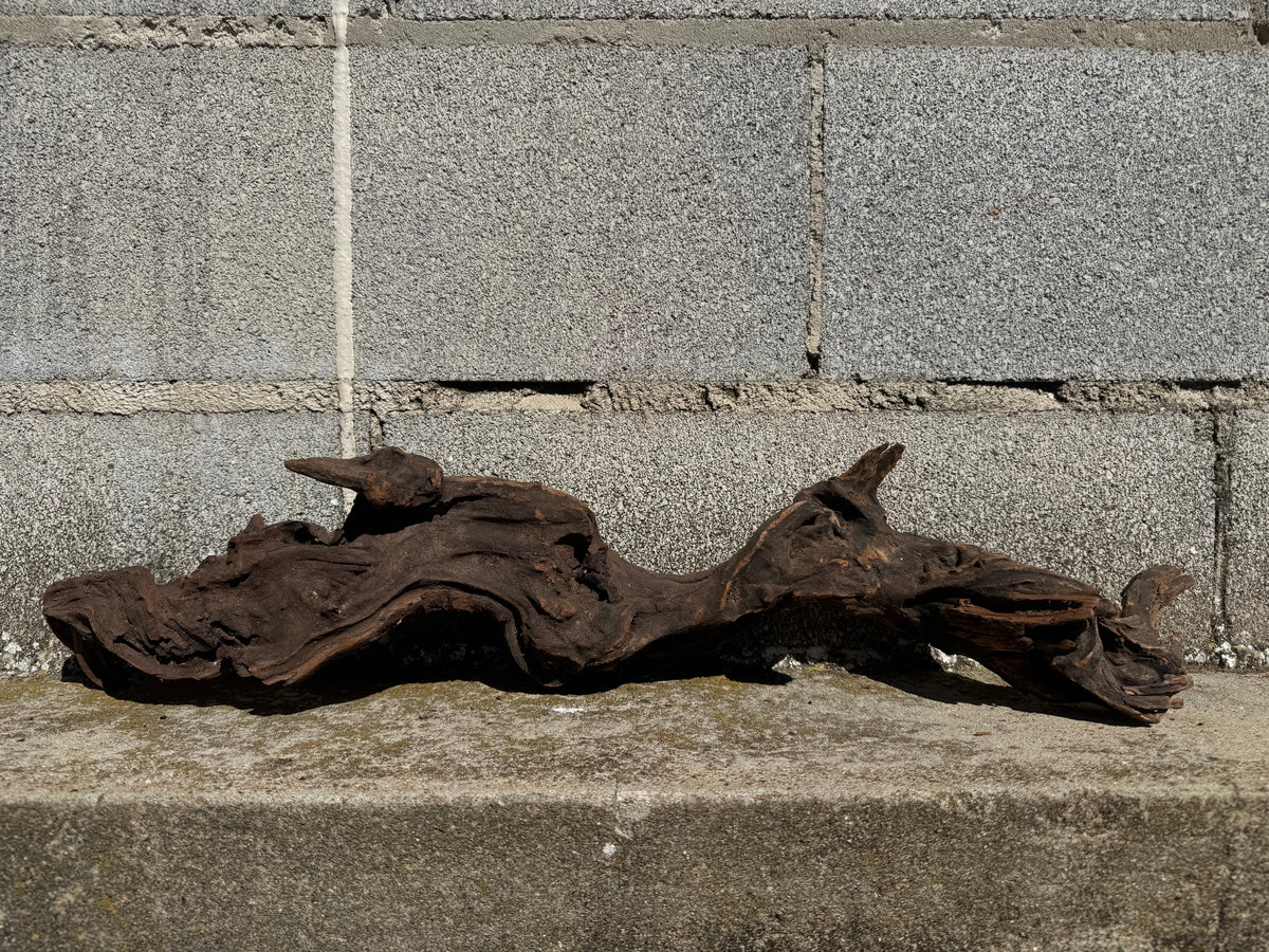 Drift Wood - 63*13*14 - cod.116 WHIMAR