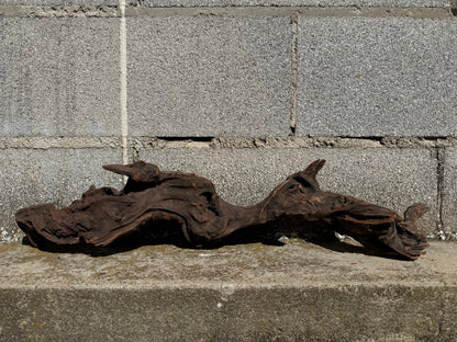 Drift Wood - 63*13*14 - cod.116 WHIMAR