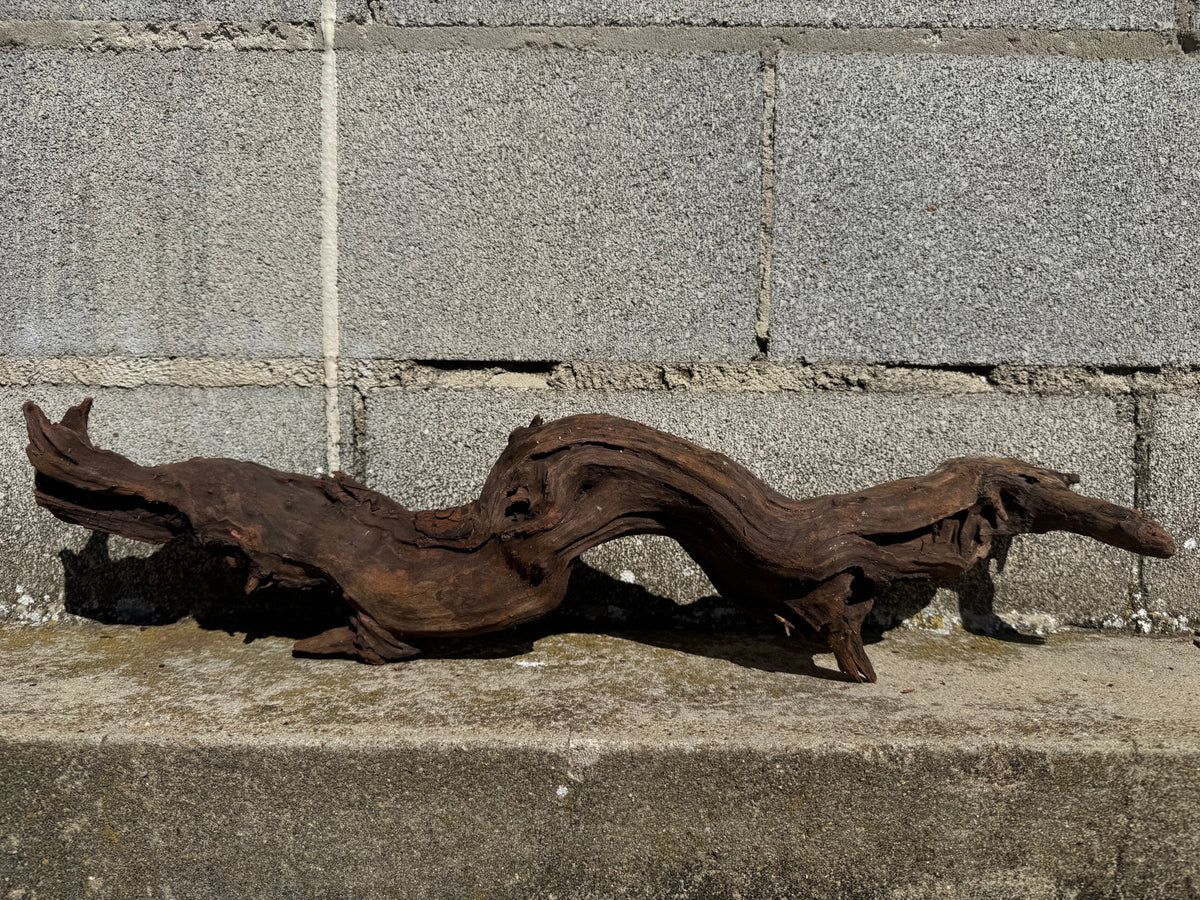 Drift Wood - 63*13*14 - cod.116 WHIMAR