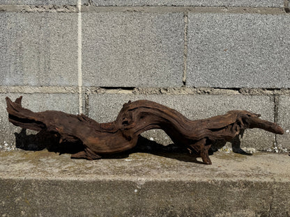Drift Wood - 63*13*14 - cod.116 WHIMAR