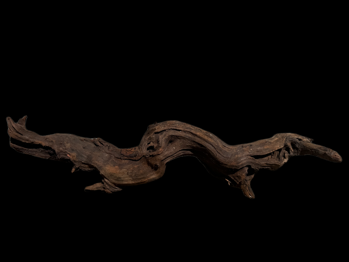Drift Wood - 63*13*14 - cod.116 WHIMAR