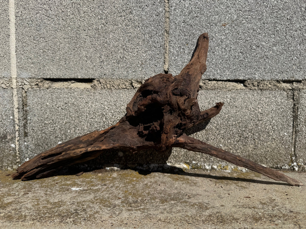 Drift Wood - 46*11*25 - cod.117 WHIMAR