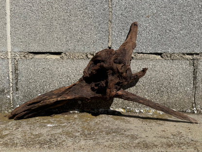 Drift Wood - 46*11*25 - cod.117 WHIMAR