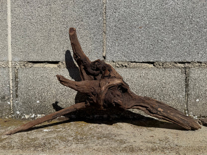 Drift Wood - 46*11*25 - cod.117 WHIMAR