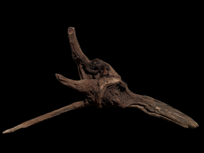 Drift Wood - 46*11*25 - cod.117 WHIMAR