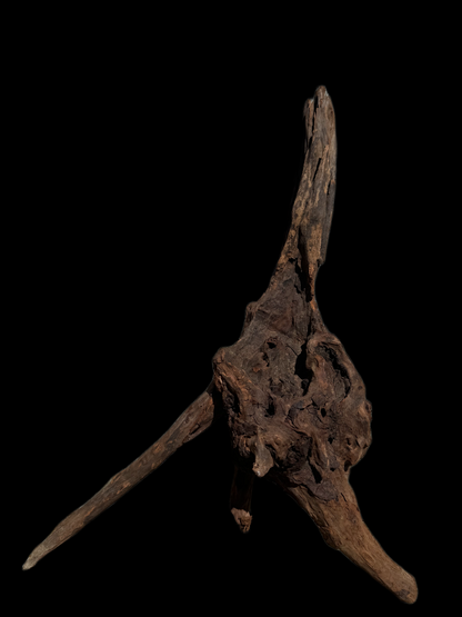 Drift Wood - 46*11*25 - cod.117 WHIMAR