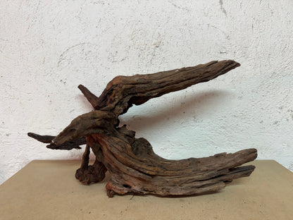 Drift Wood - 51*31*27 - cod.118 WHIMAR