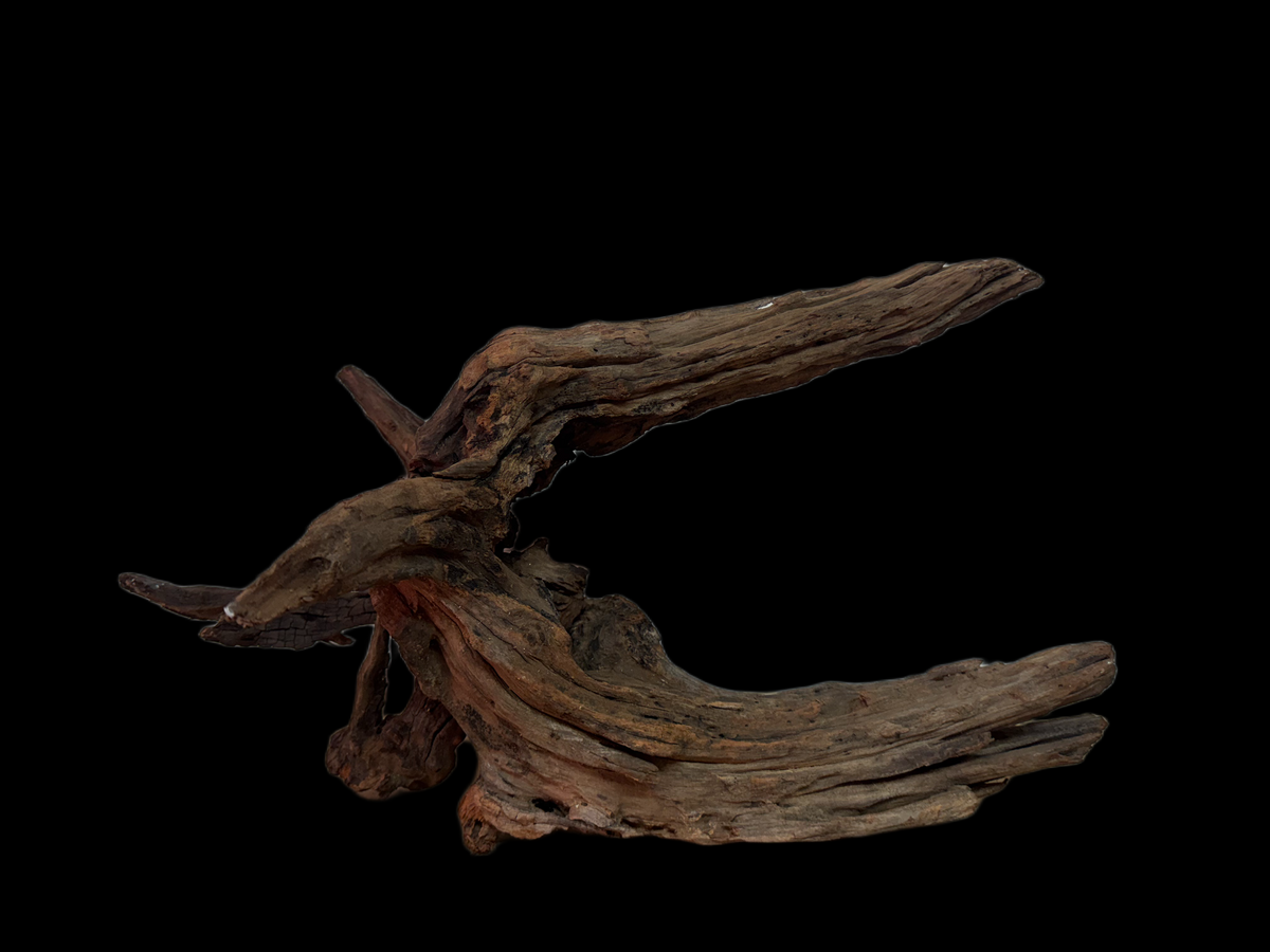 Drift Wood - 51*31*27 - cod.118 WHIMAR