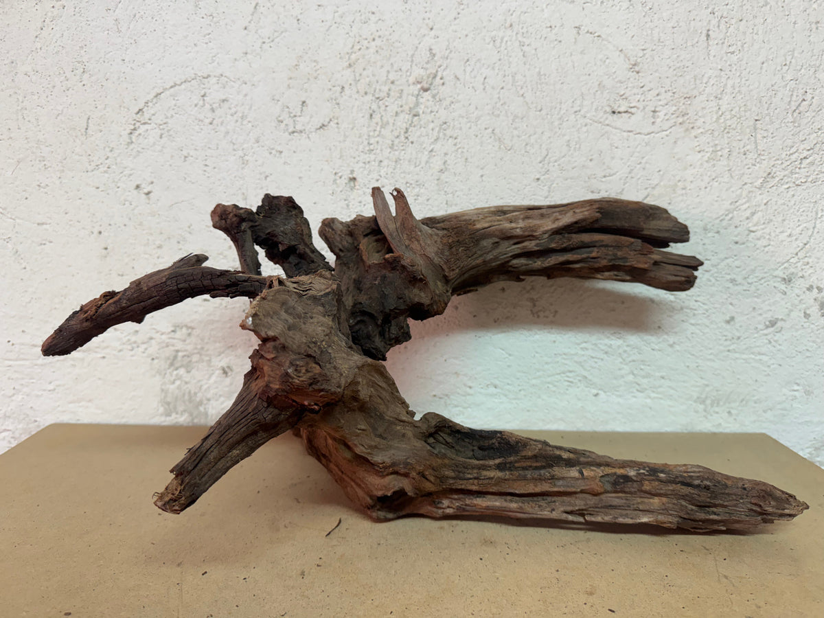 Drift Wood - 51*31*27 - cod.118 WHIMAR