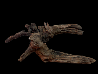 Drift Wood - 51*31*27 - cod.118 WHIMAR