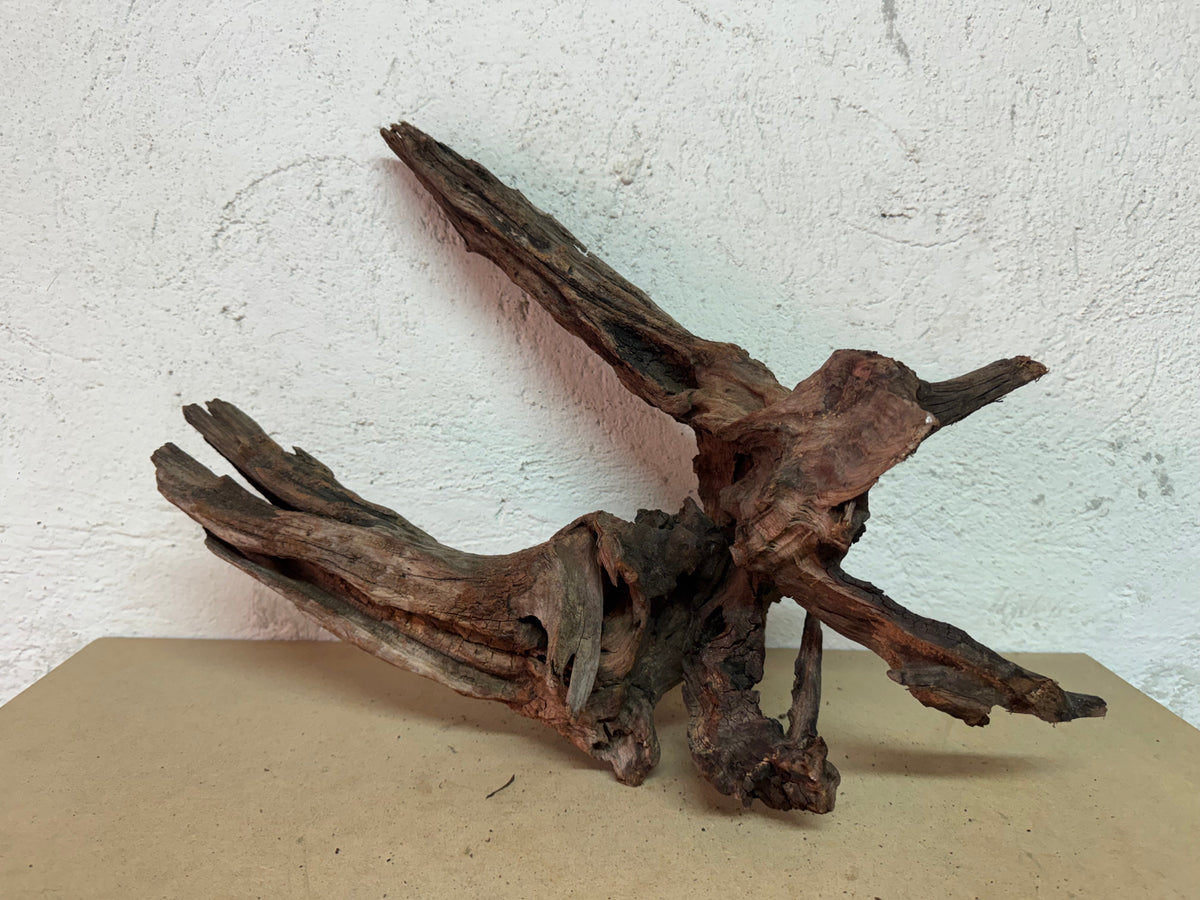 Drift Wood - 51*31*27 - cod.118 WHIMAR