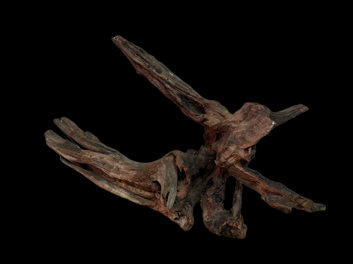 Drift Wood - 51*31*27 - cod.118 WHIMAR
