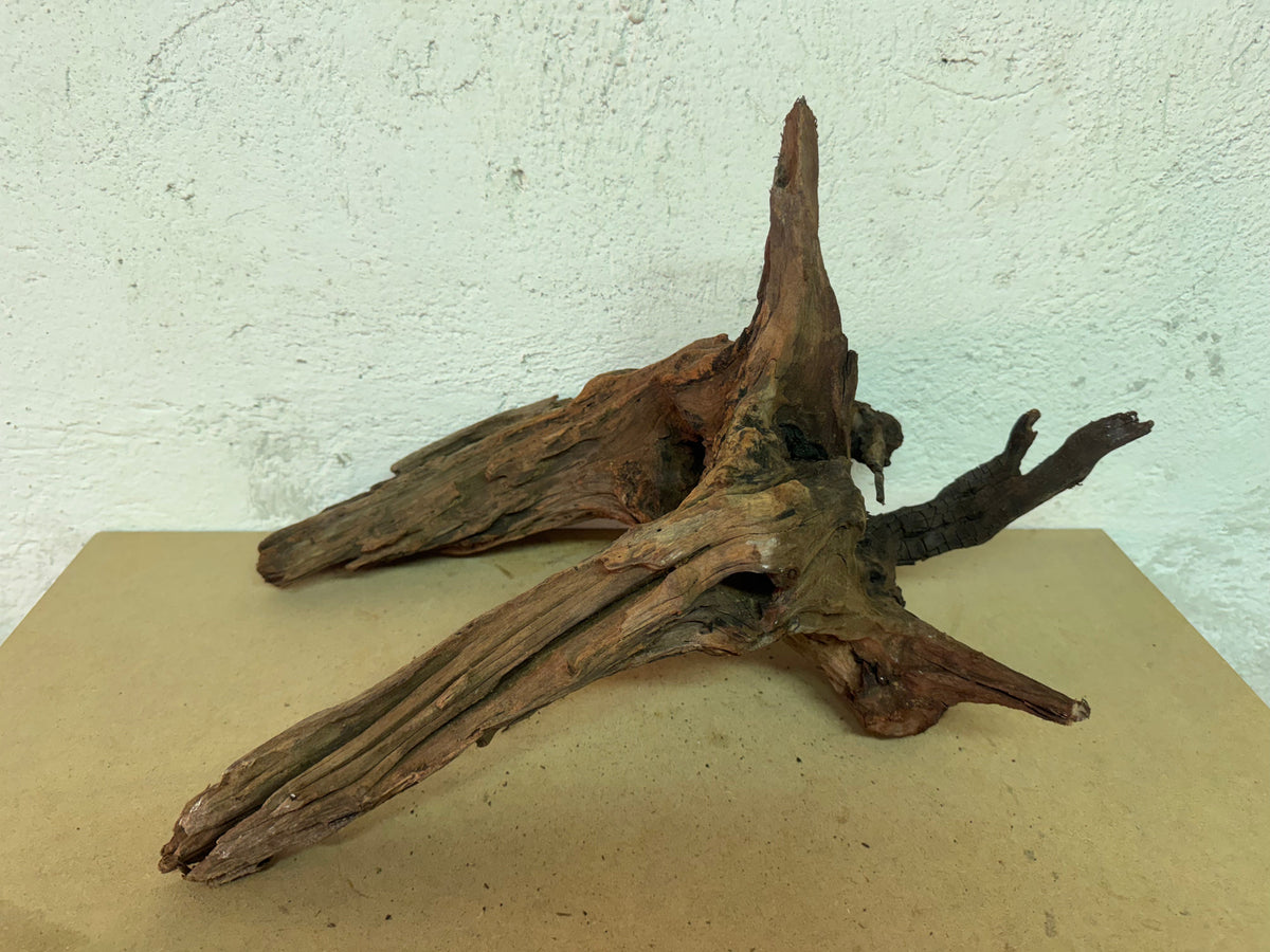Drift Wood - 51*31*27 - cod.118 WHIMAR