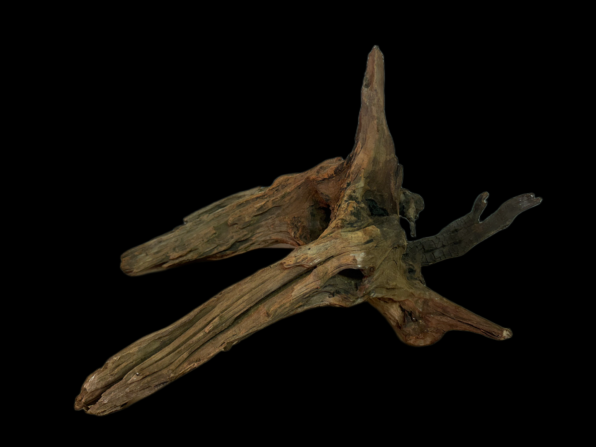 Drift Wood - 51*31*27 - cod.118 WHIMAR