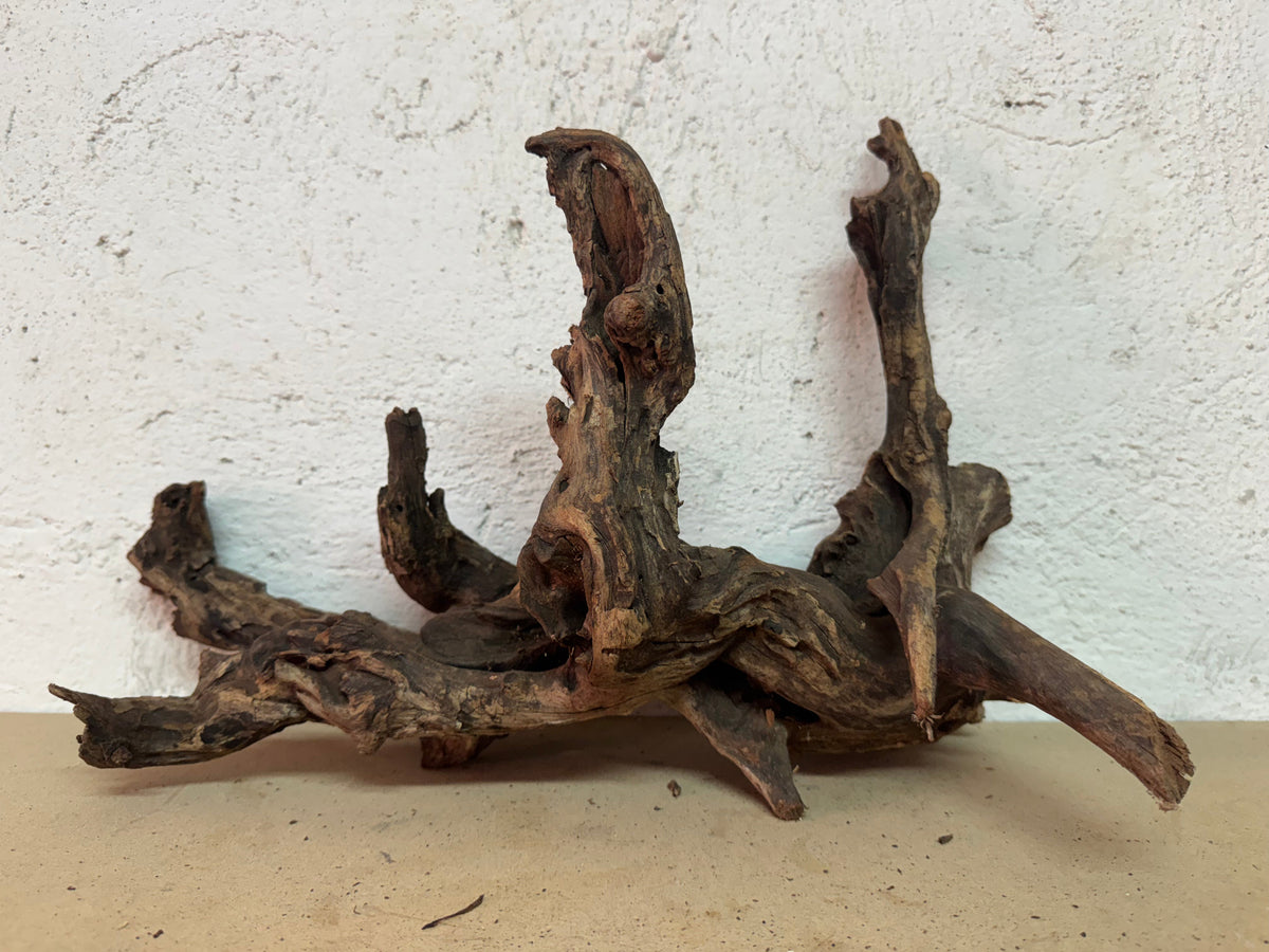Drift Wood - 39*19*29 - cod.119 WHIMAR