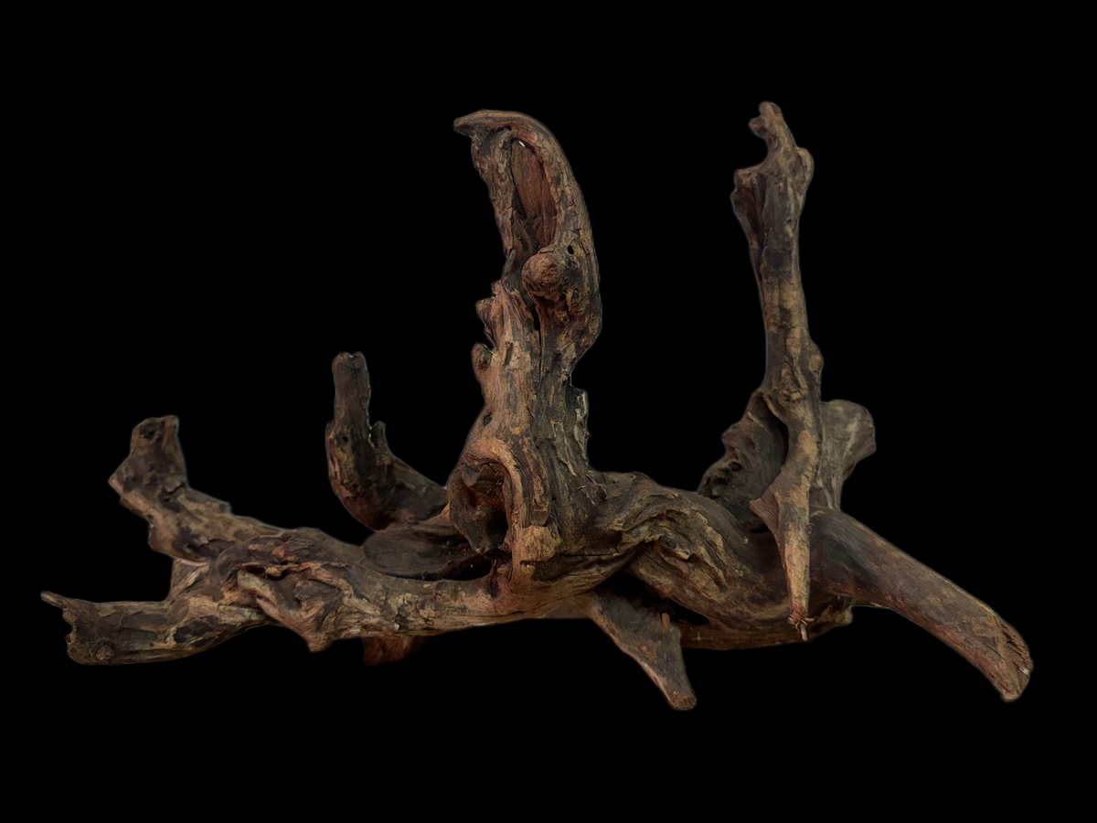 Drift Wood - 39*19*29 - cod.119 WHIMAR