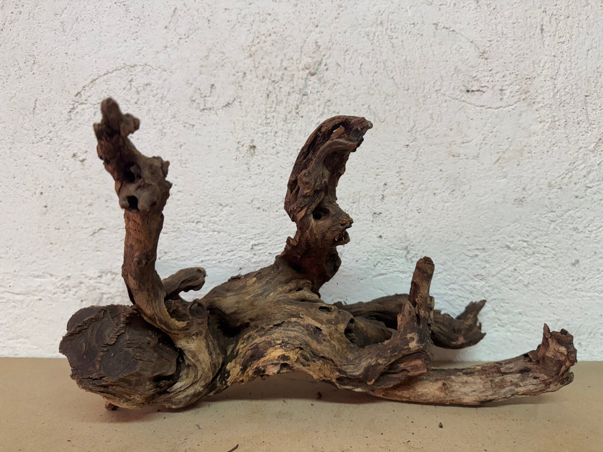 Drift Wood - 39*19*29 - cod.119 WHIMAR