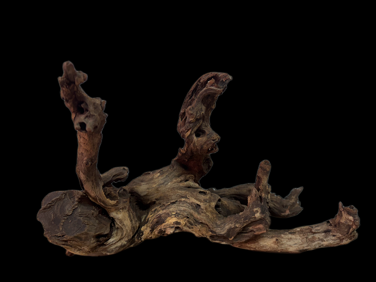 Drift Wood - 39*19*29 - cod.119 WHIMAR