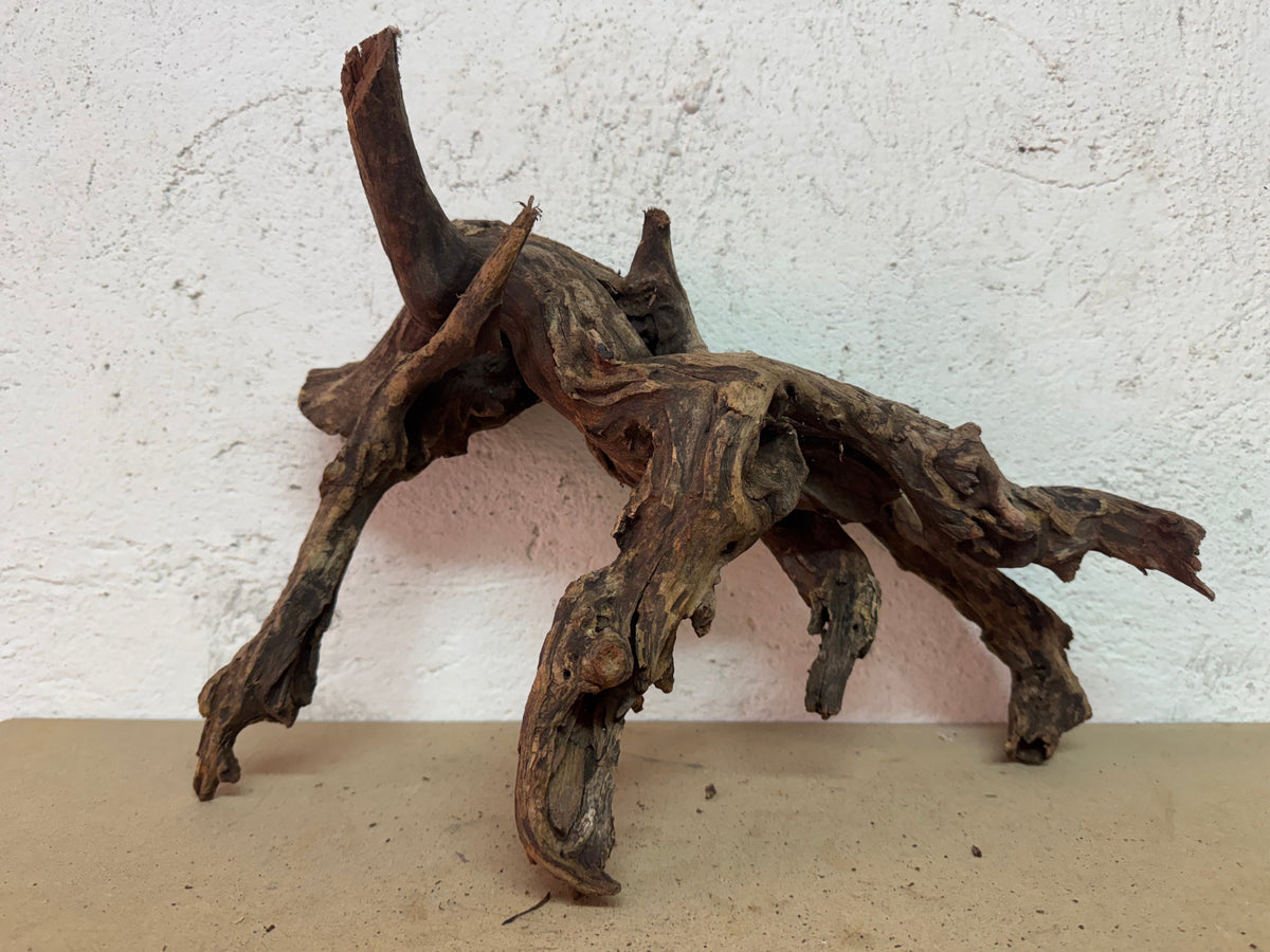 Drift Wood - 39*19*29 - cod.119 WHIMAR