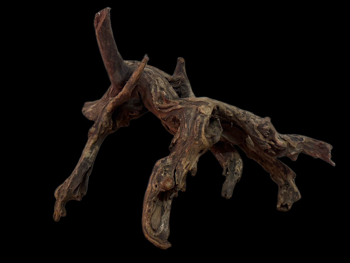 Drift Wood - 39*19*29 - cod.119 WHIMAR