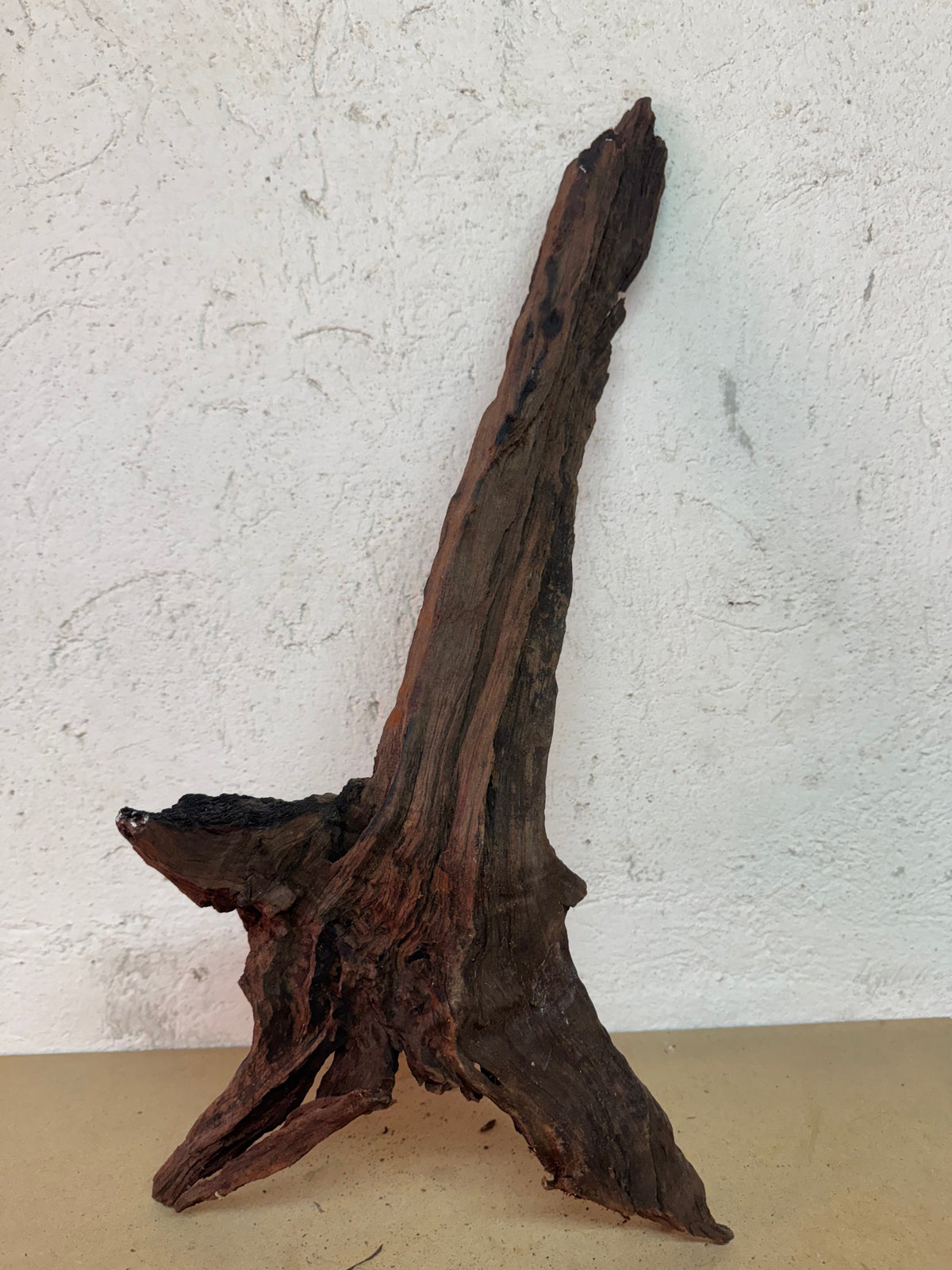 Drift Wood - 63*14*30 - cod.120 WHIMAR