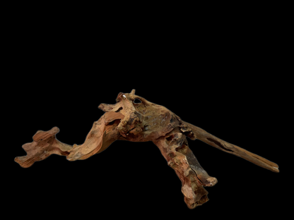 Drift Wood - 52*19*16 - cod.121 WHIMAR