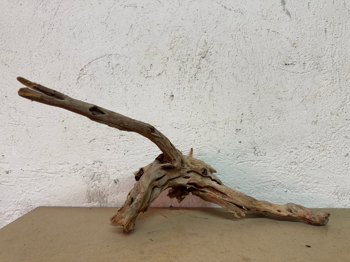 Drift Wood - 52*19*16 - cod.121 WHIMAR
