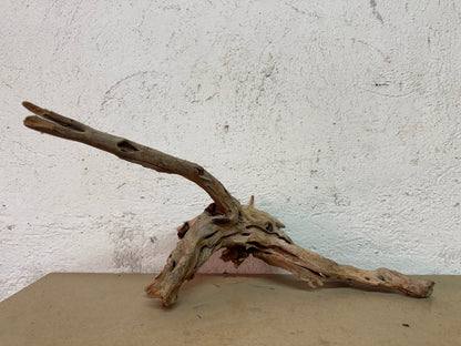 Drift Wood - 52*19*16 - cod.121 WHIMAR