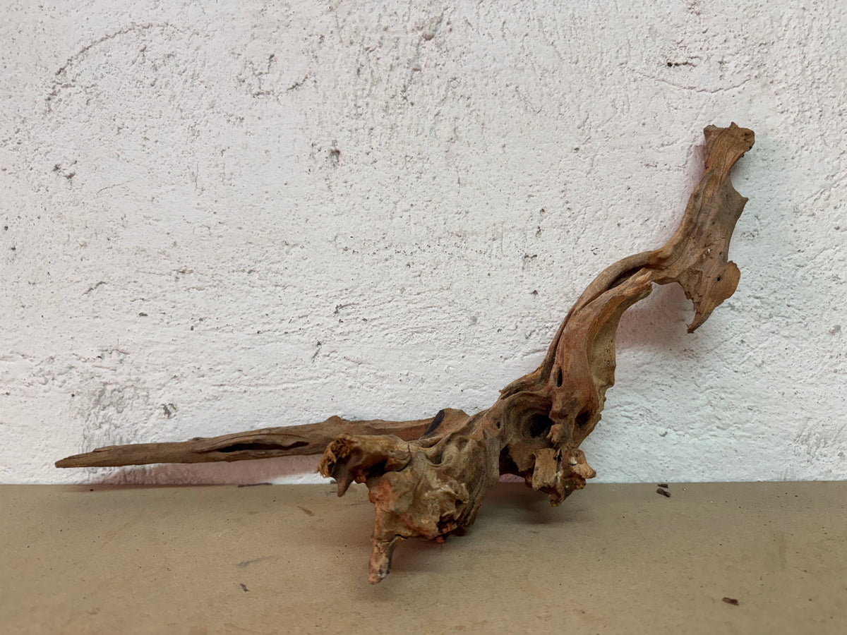 Drift Wood - 52*19*16 - cod.121 WHIMAR