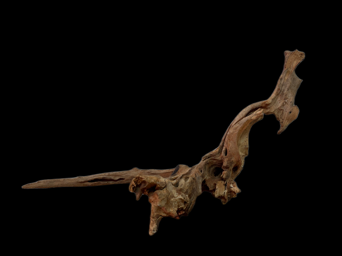 Drift Wood - 52*19*16 - cod.121 WHIMAR