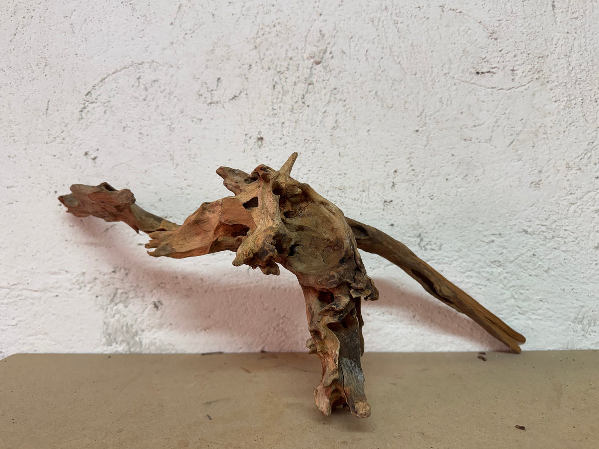 Drift Wood - 52*19*16 - cod.121 WHIMAR