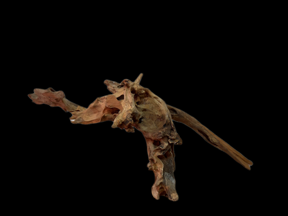 Drift Wood - 52*19*16 - cod.121 WHIMAR