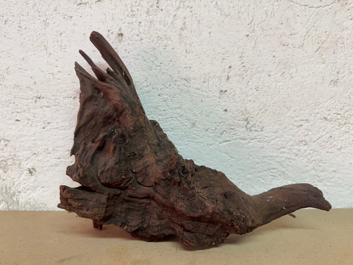 Drift Wood - 27*11*23 - cod.122 WHIMAR