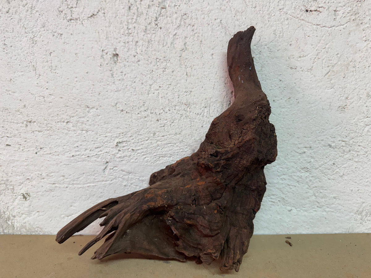 Drift Wood - 27*11*23 - cod.122 WHIMAR