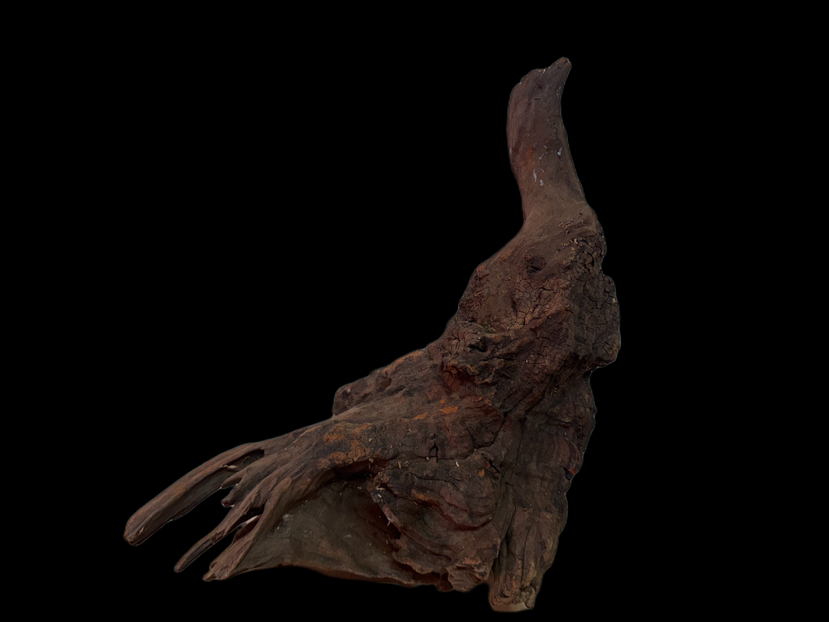 Drift Wood - 27*11*23 - cod.122 WHIMAR