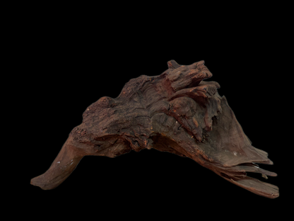 Drift Wood - 27*11*23 - cod.122 WHIMAR