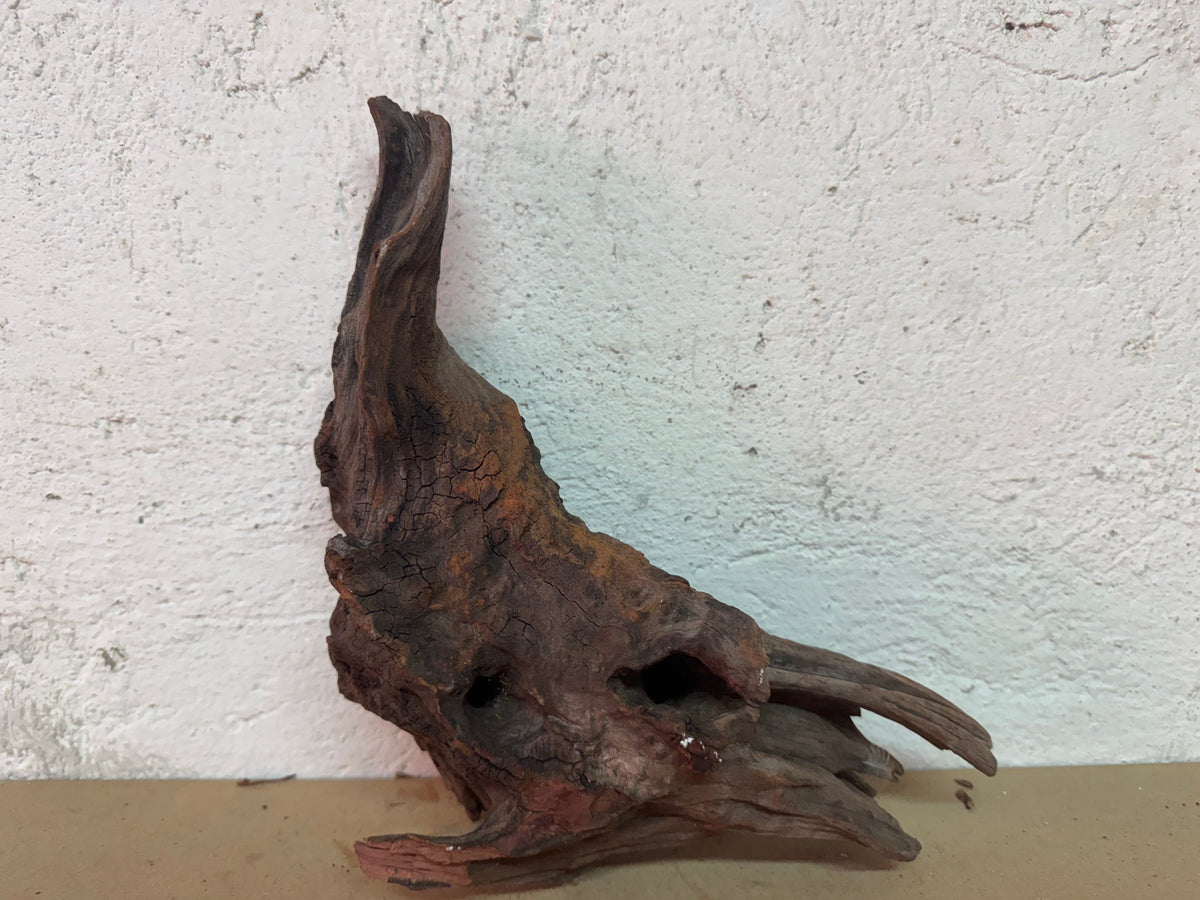 Drift Wood - 27*11*23 - cod.122 WHIMAR
