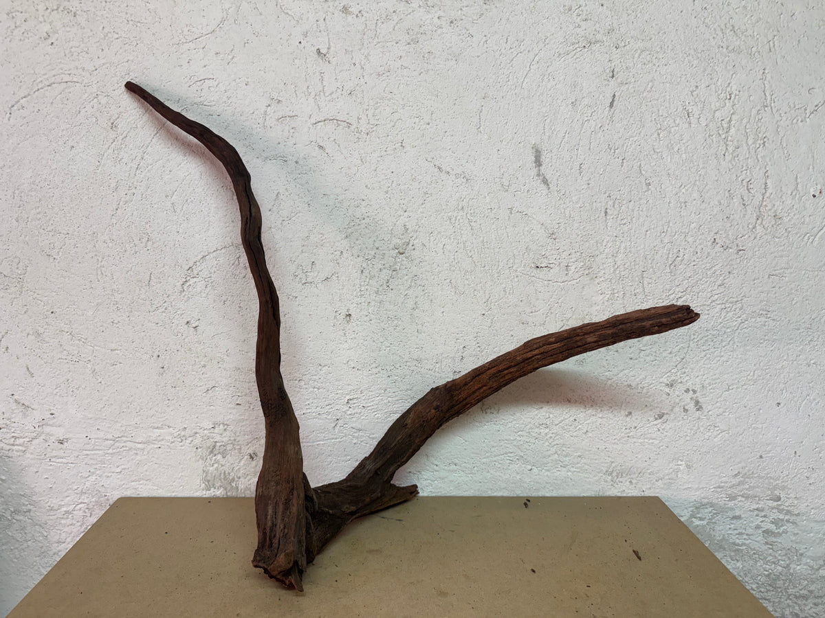 Drift Wood - 53*22*52 - cod.123 WHIMAR