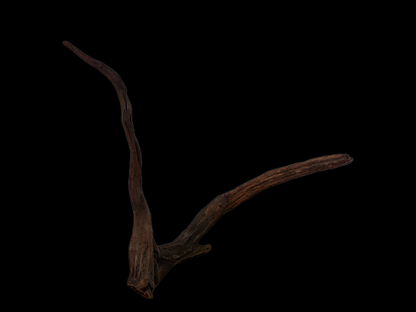 Drift Wood - 53*22*52 - cod.123 WHIMAR