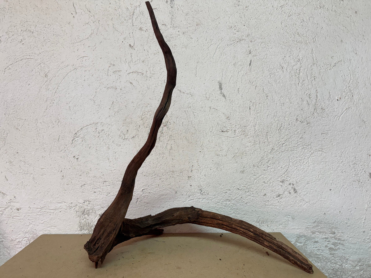 Drift Wood - 53*22*52 - cod.123 WHIMAR