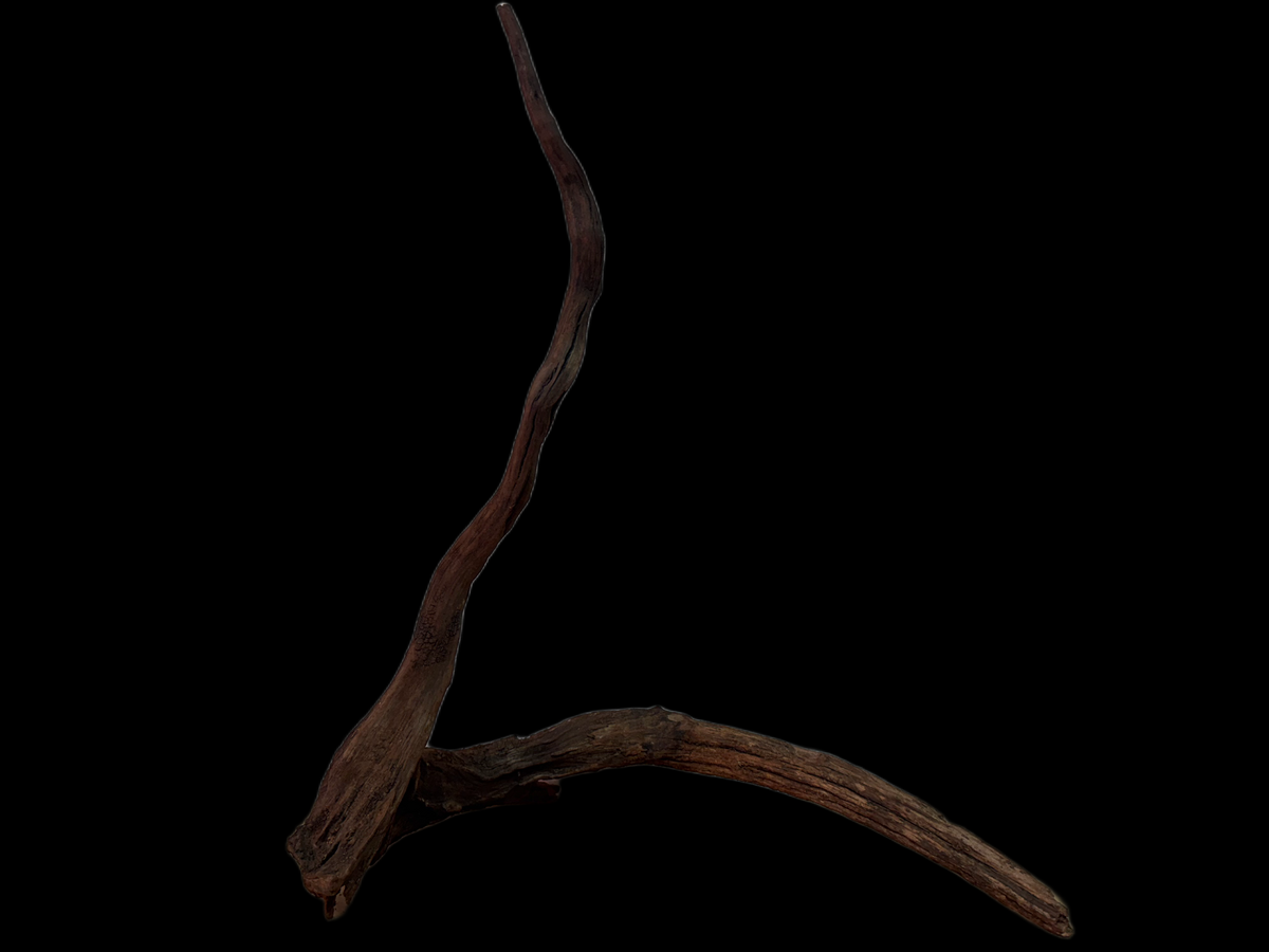 Drift Wood - 53*22*52 - cod.123 WHIMAR