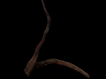 Drift Wood - 53*22*52 - cod.123 WHIMAR