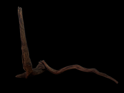 Drift Wood - 53*22*52 - cod.123 WHIMAR